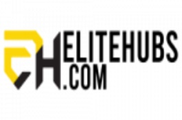 Elite Hub-SEO for India's Leading E-commerce Website